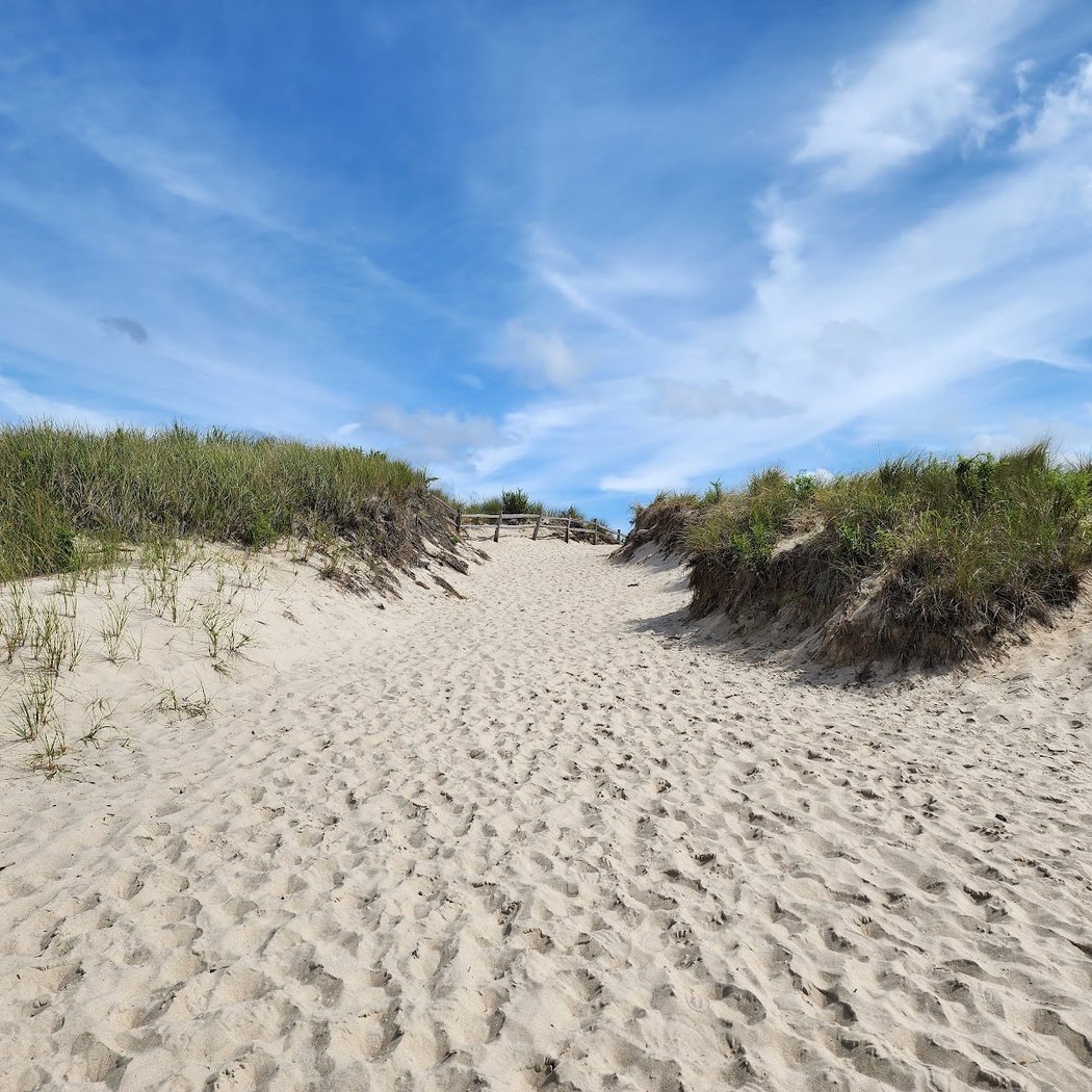 Napatree Point Conservation Area 3