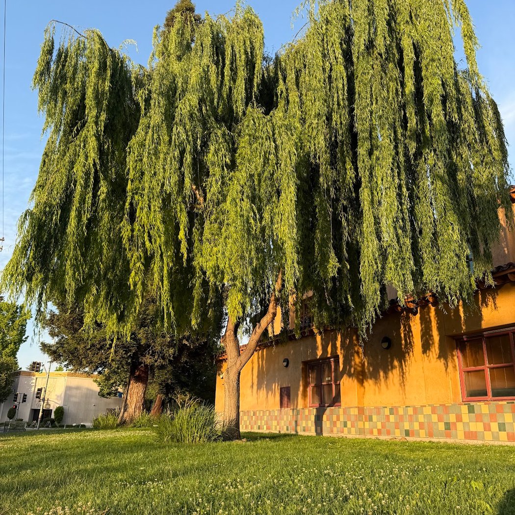 Willow Glen Elementary School 1