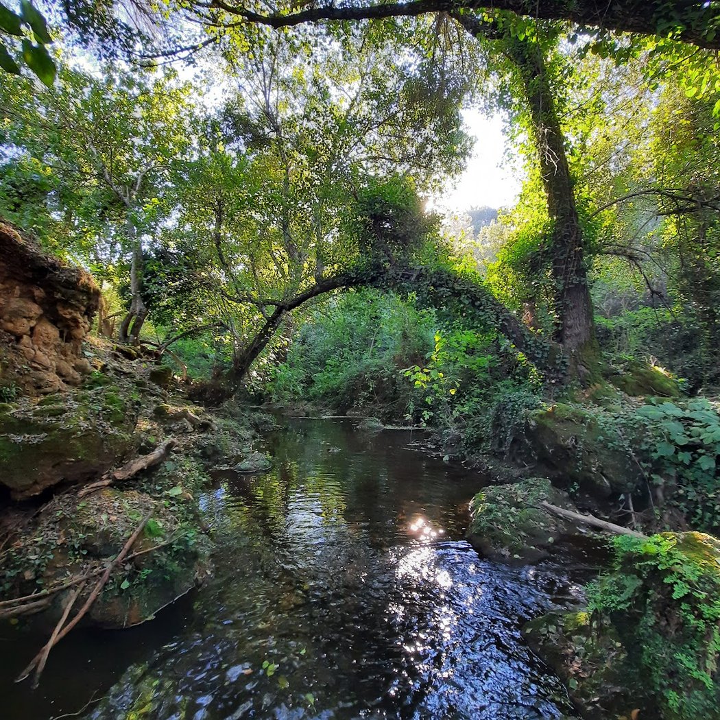 San Nicolás del Puerto 3