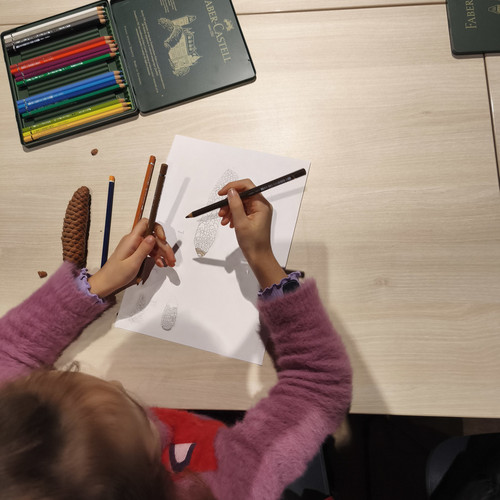 Initiation au dessin botanique avec 1011 1