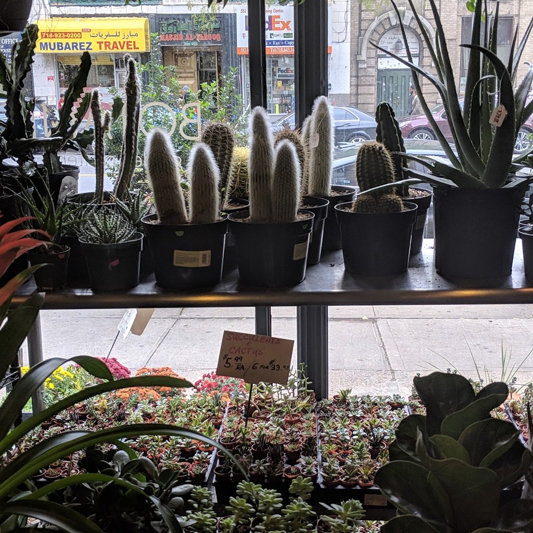 Botanica Garden Center 1