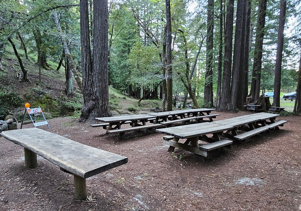 Rooted in Connection Guided Hike: Mount Tam Day of Thanks 3