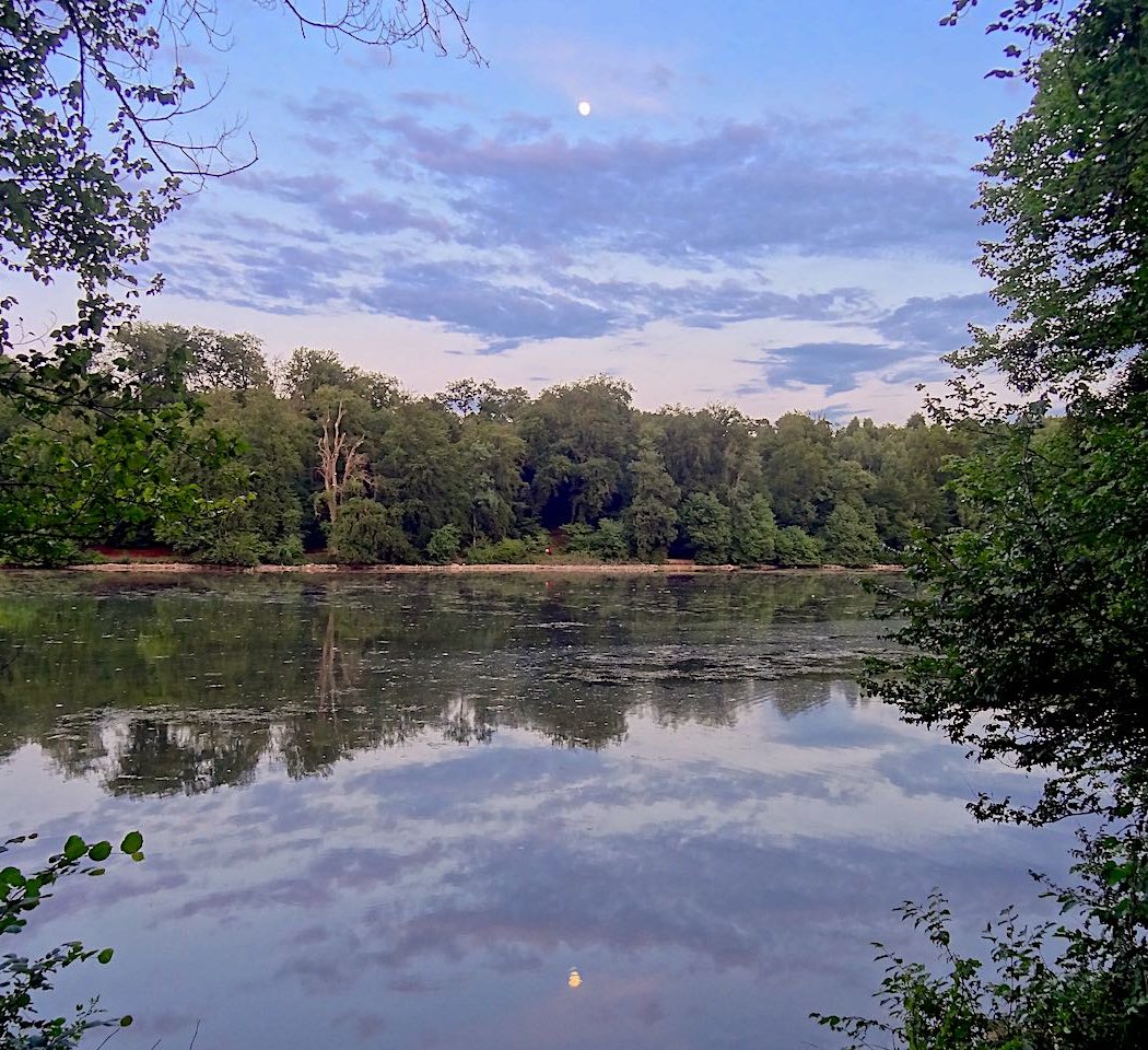 Chantilly Forest 3