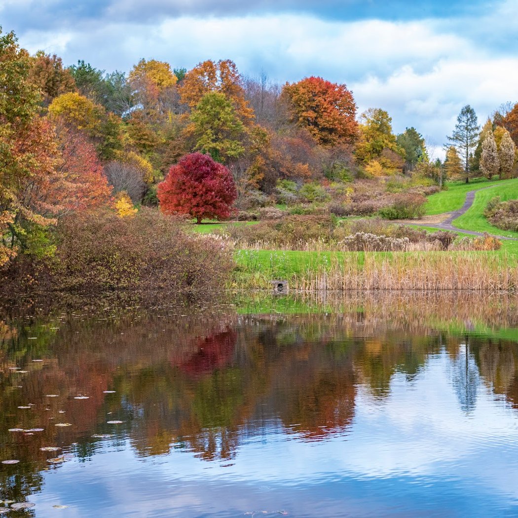 Cornell Botanic Gardens 1