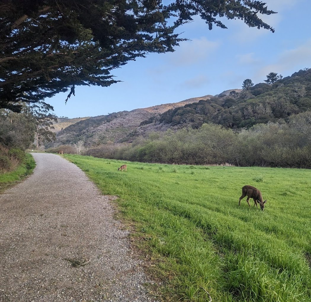 San Pedro Valley Park 2