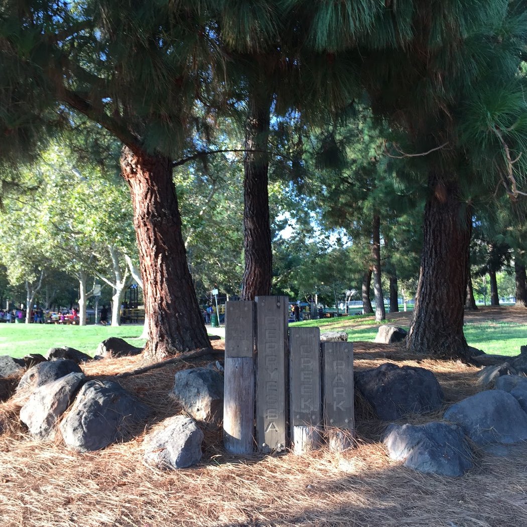 Berryessa Creek Park 3