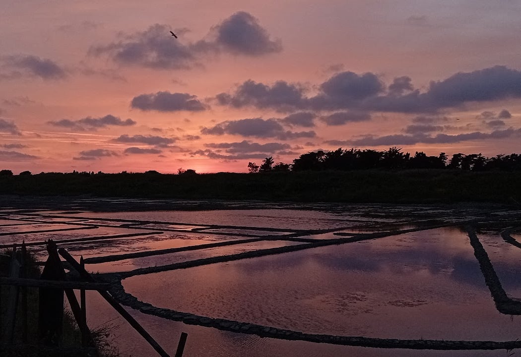 Les Salines de Millac 3