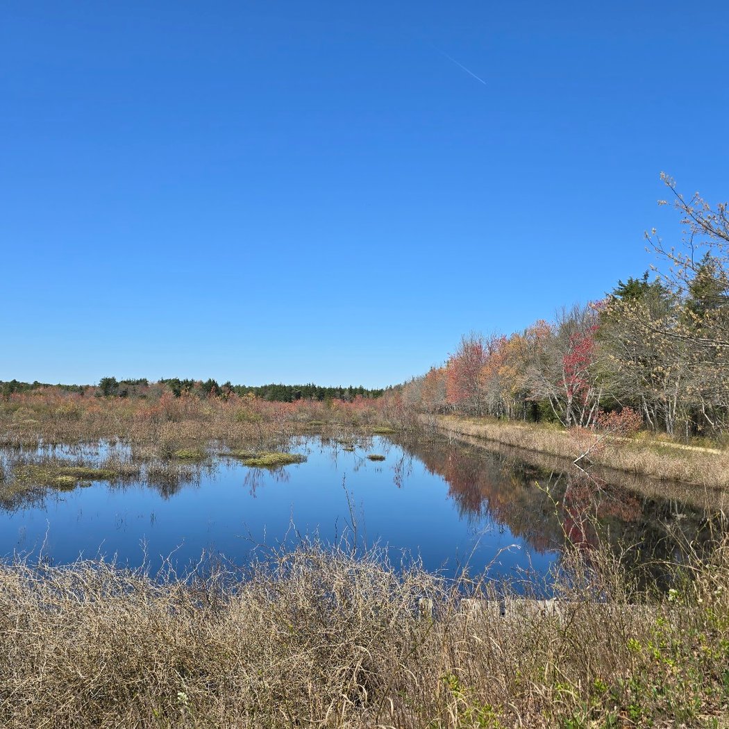 Double Trouble State Park 3