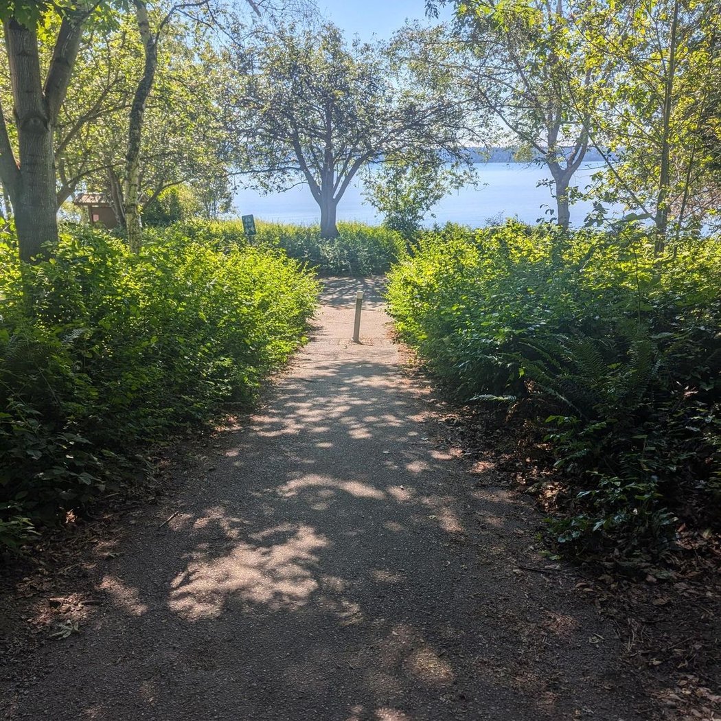 Foster Island Trail