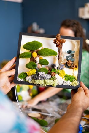 Zen Moss Wall Art Experience 1