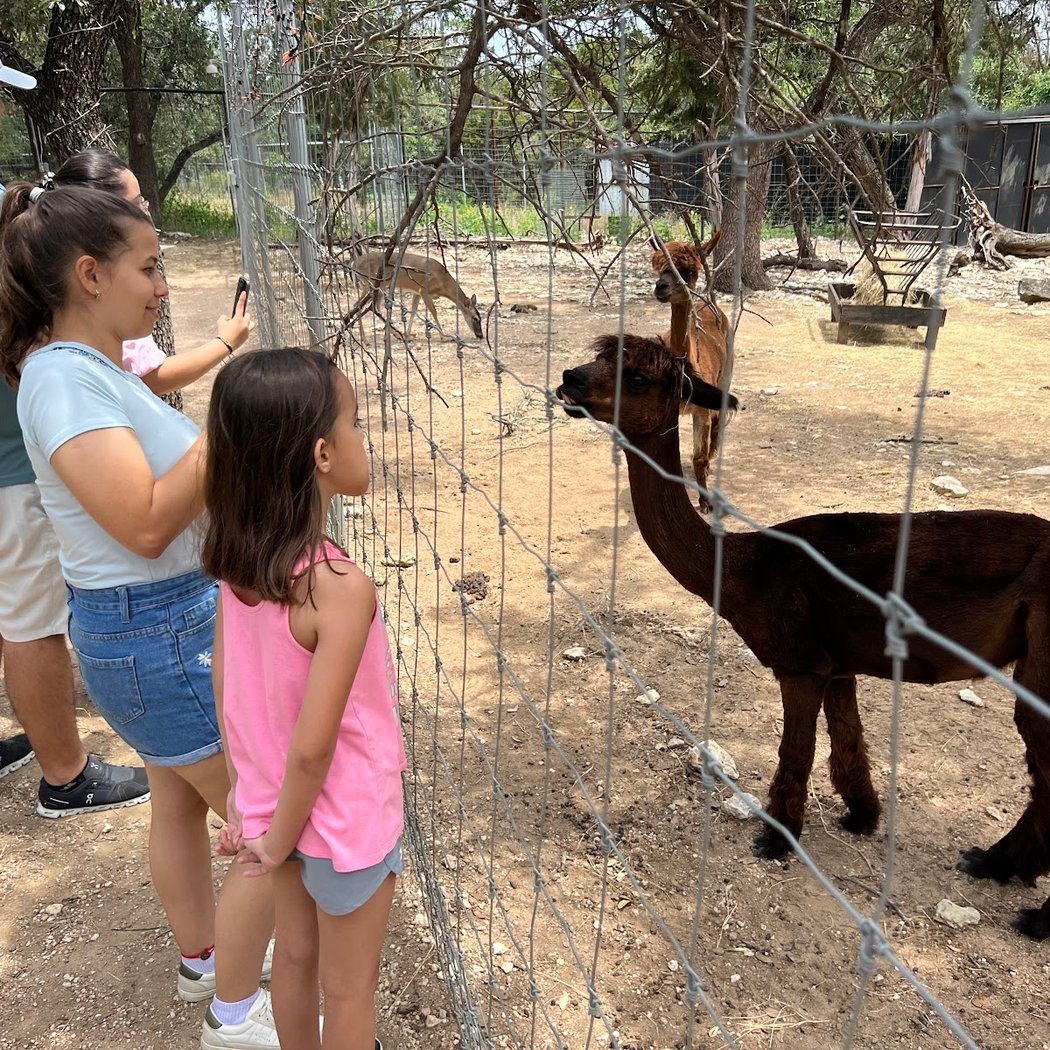 Austin Zoo 3