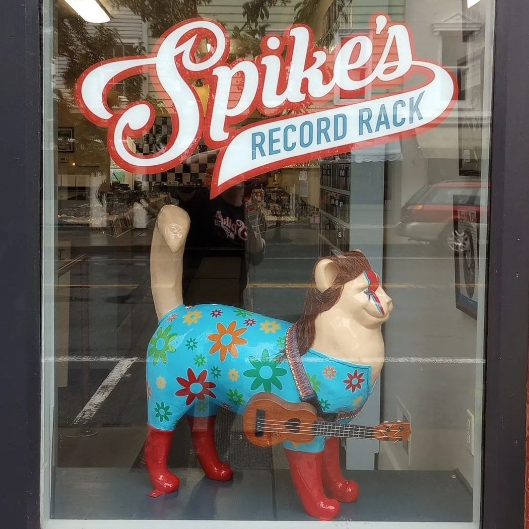 Spike's Record Rack 3