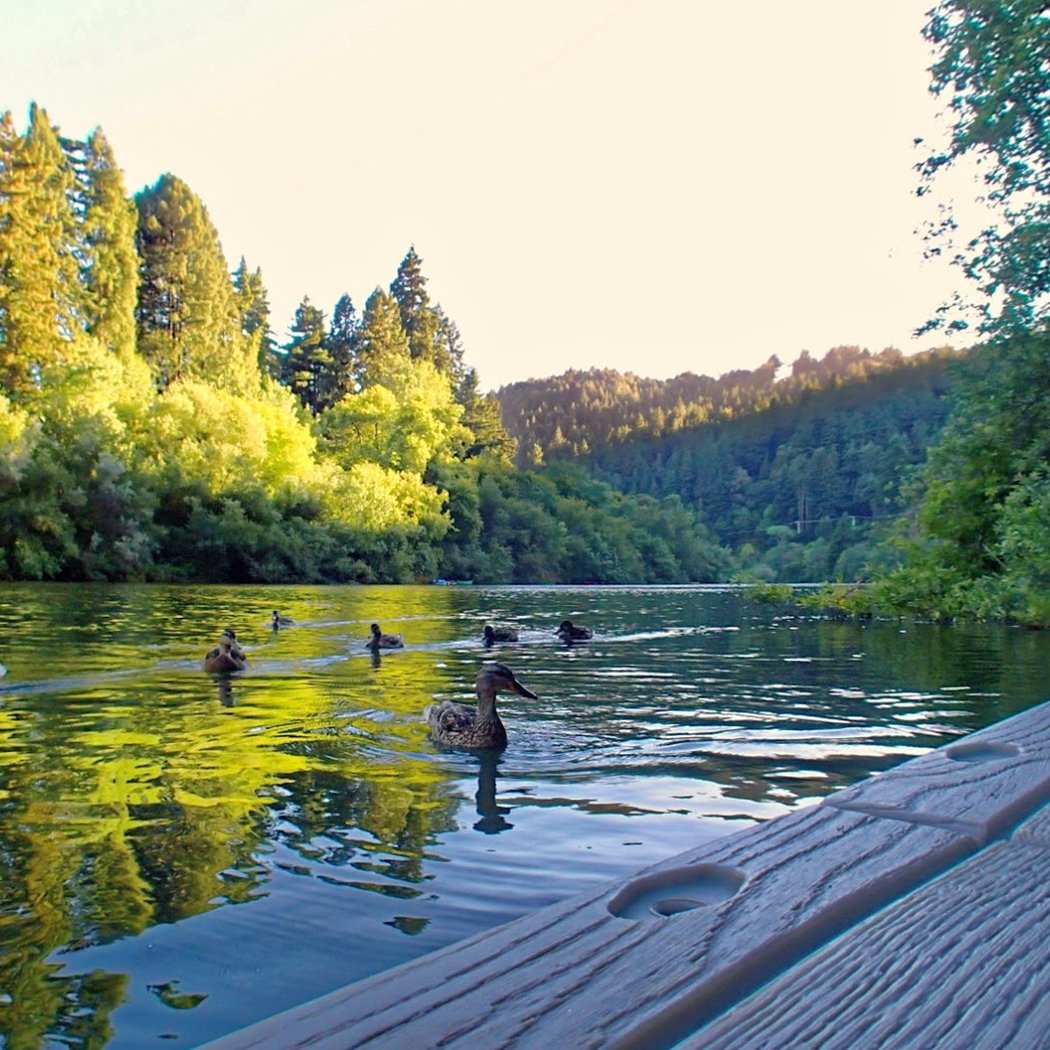 Lucky Bend Lookout Vacation Rental on the Russian River 1
