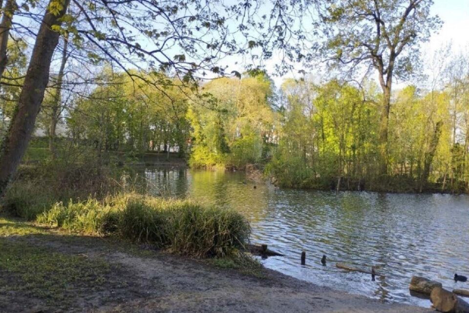 Pelouse de la Mairie 1