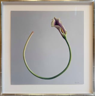 Bloom 1
