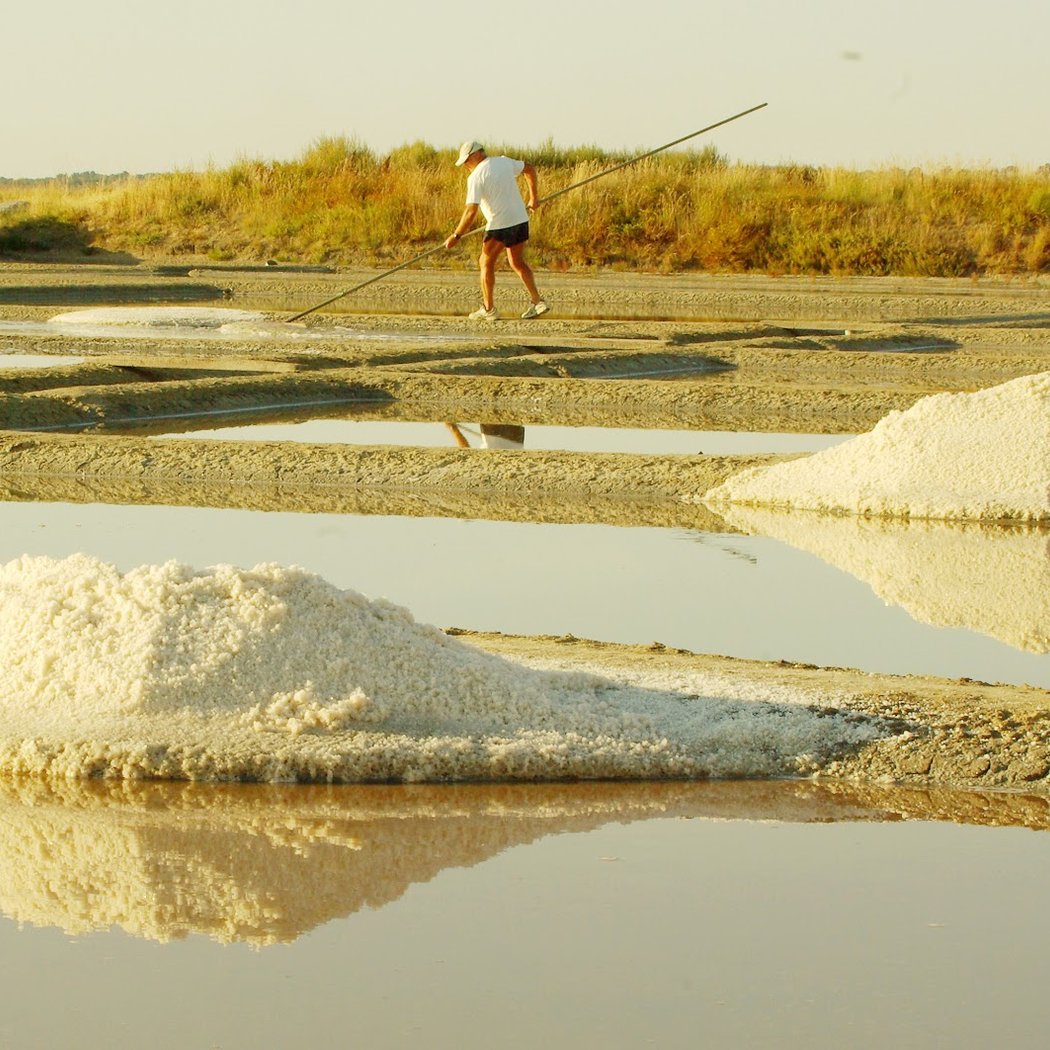Sea salt TRADYSEL 1
