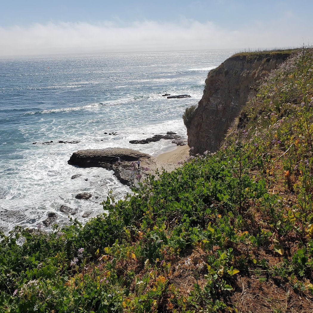 Davenport Landing Beach 3