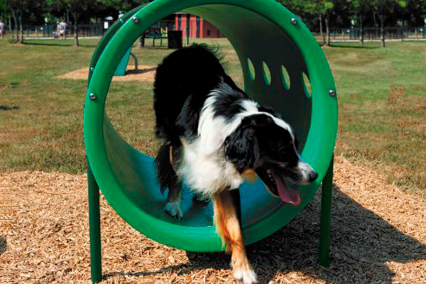 Van Saun Park Dog Run 2