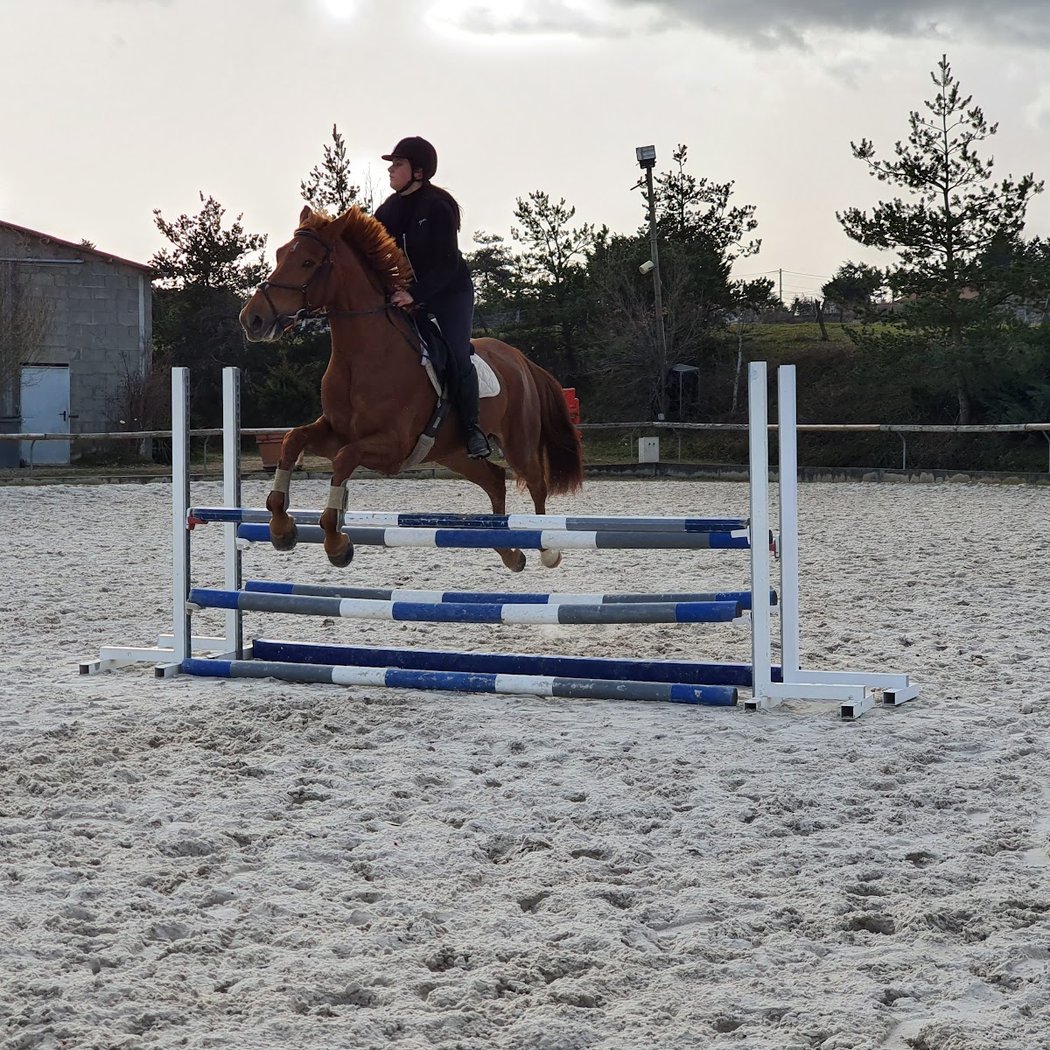 Equestrian Center De La Roche 1