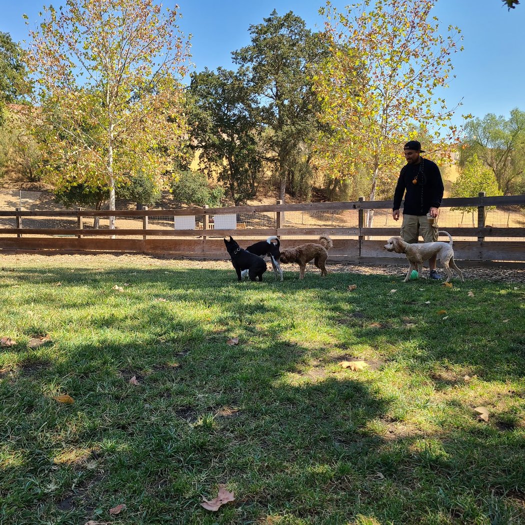 Hap Magee Ranch Dog Park 3
