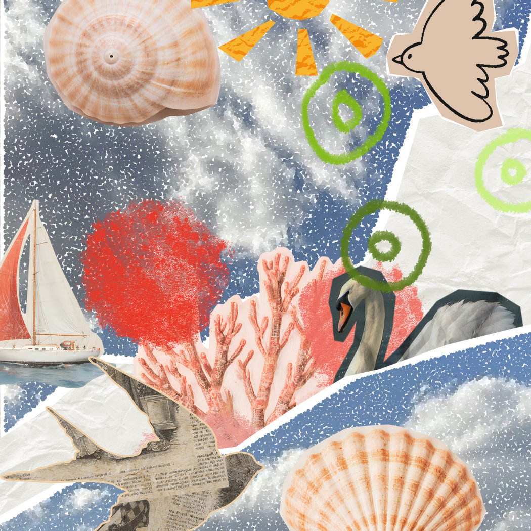 Silly Birds, Seashells, and Printmaking & Drawing 1