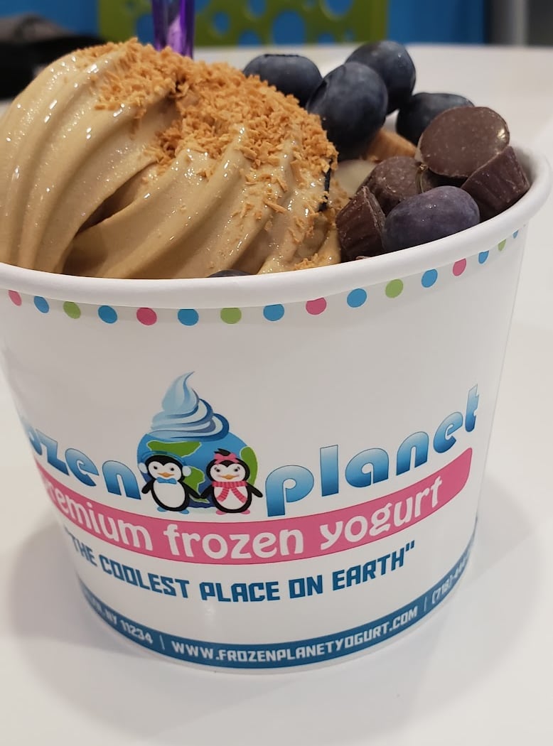 Frozen Planet Yogurt 1