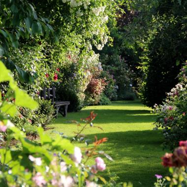 Arboretum d'Ilex garden 5