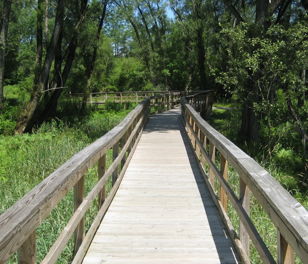 Jackhammer Trail Series – #2 2