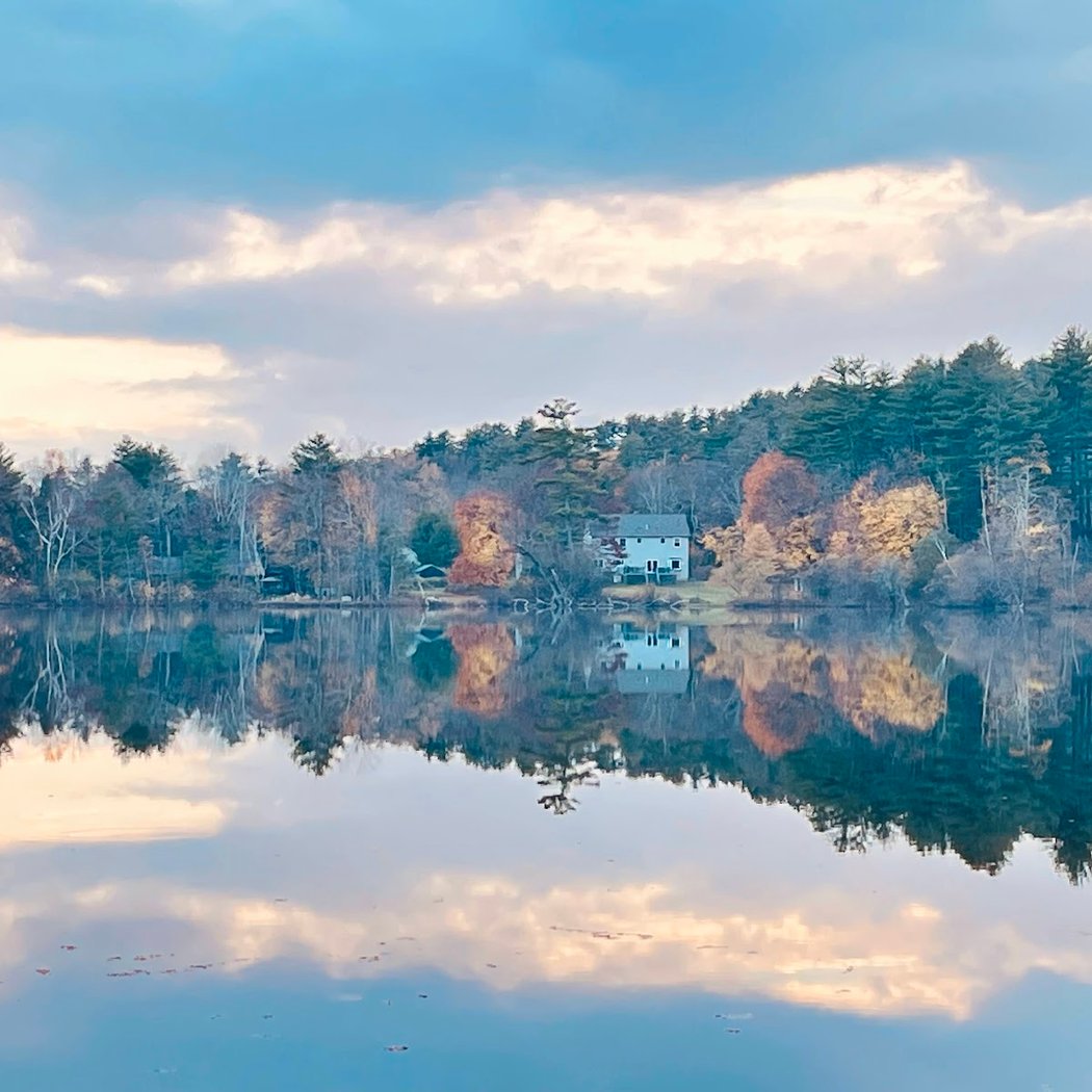 Lake Mansfield Beach and Conservation Forest Trails 1