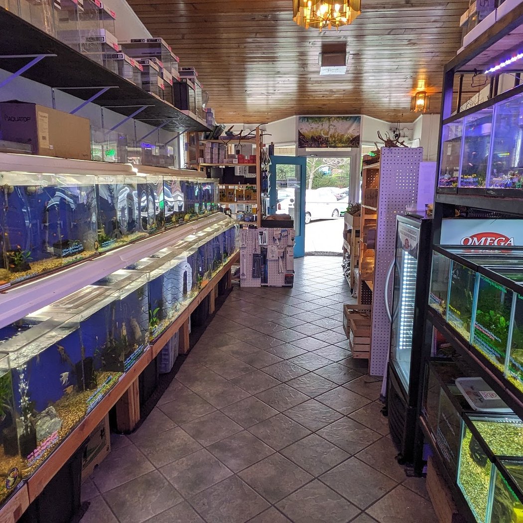 The Fish Barn 3