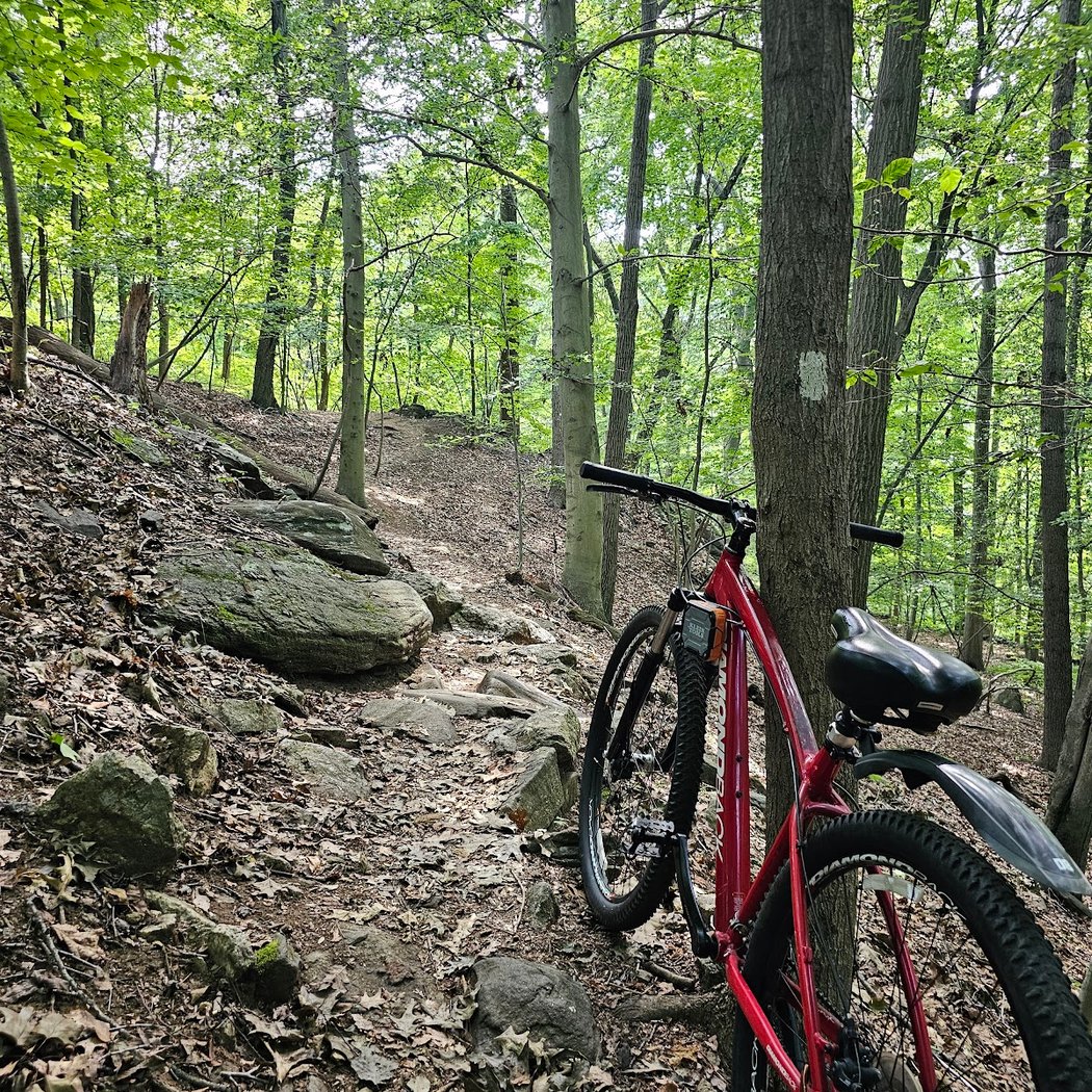 Sprain Ridge Park 5