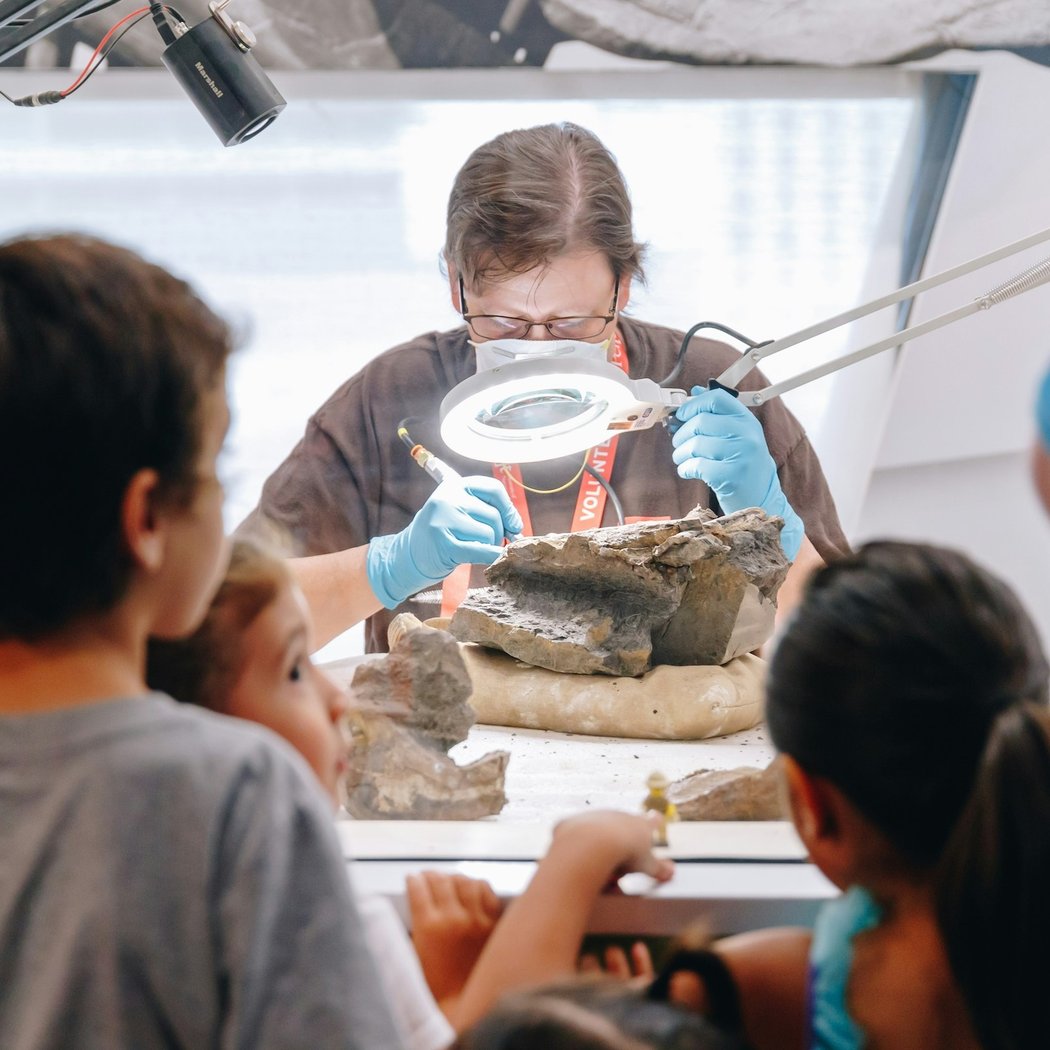 Perot Museum of Nature and Science 2