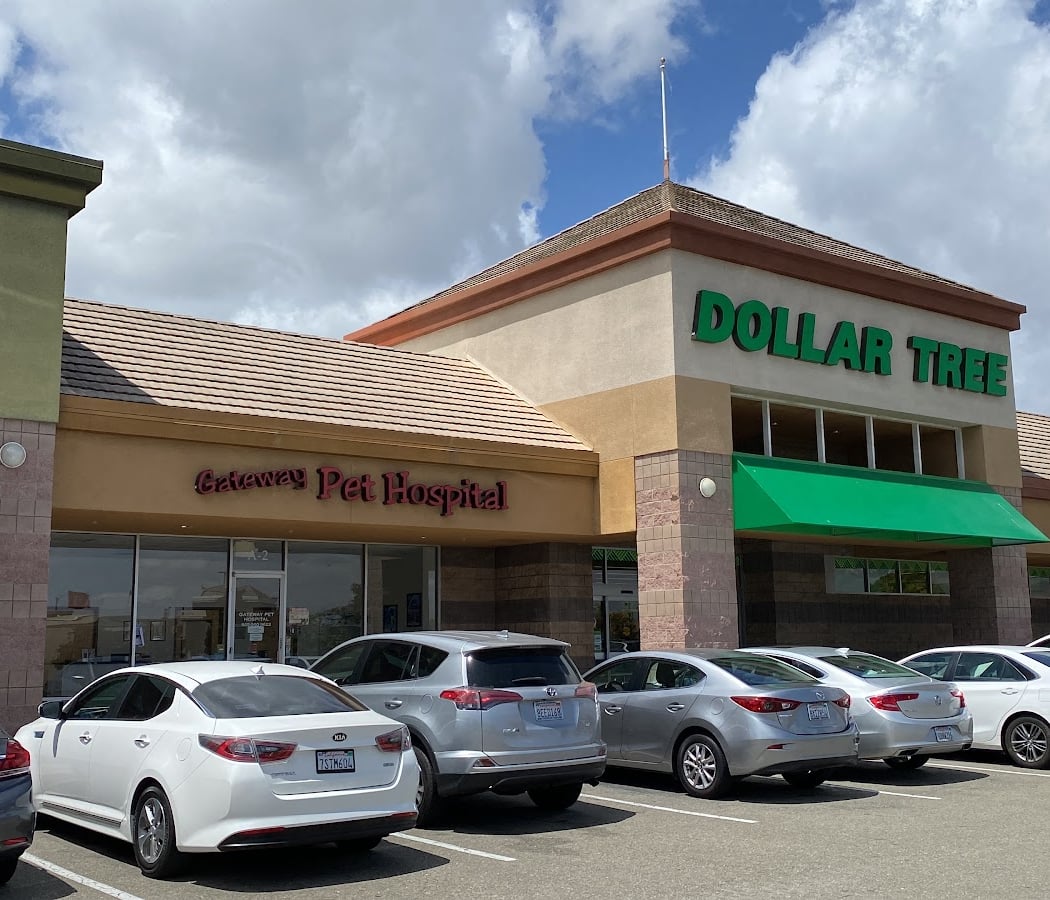 Dollar Tree 2