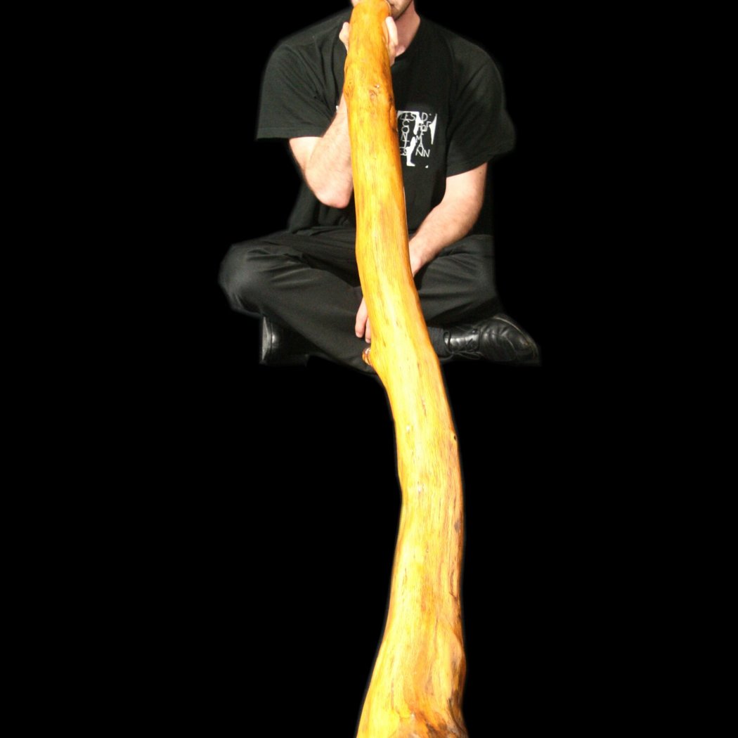 Musicien au Musée - Richard Poher 1