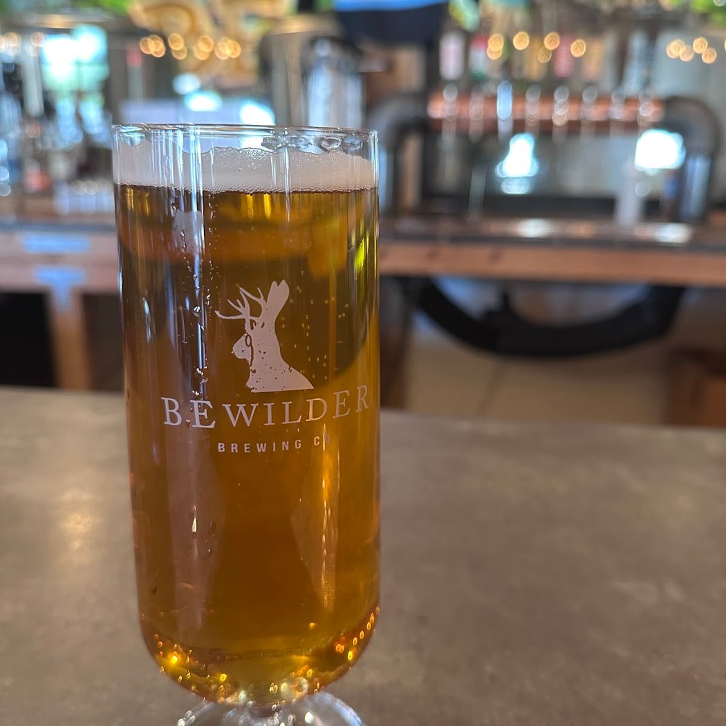 Bewilder Brewing Co 1