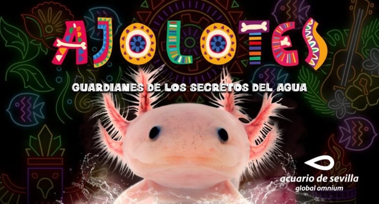 Instalación dedicada al ajolote 1