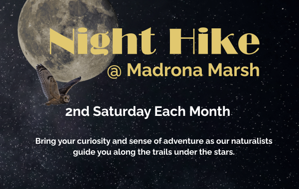 Night Hike 1