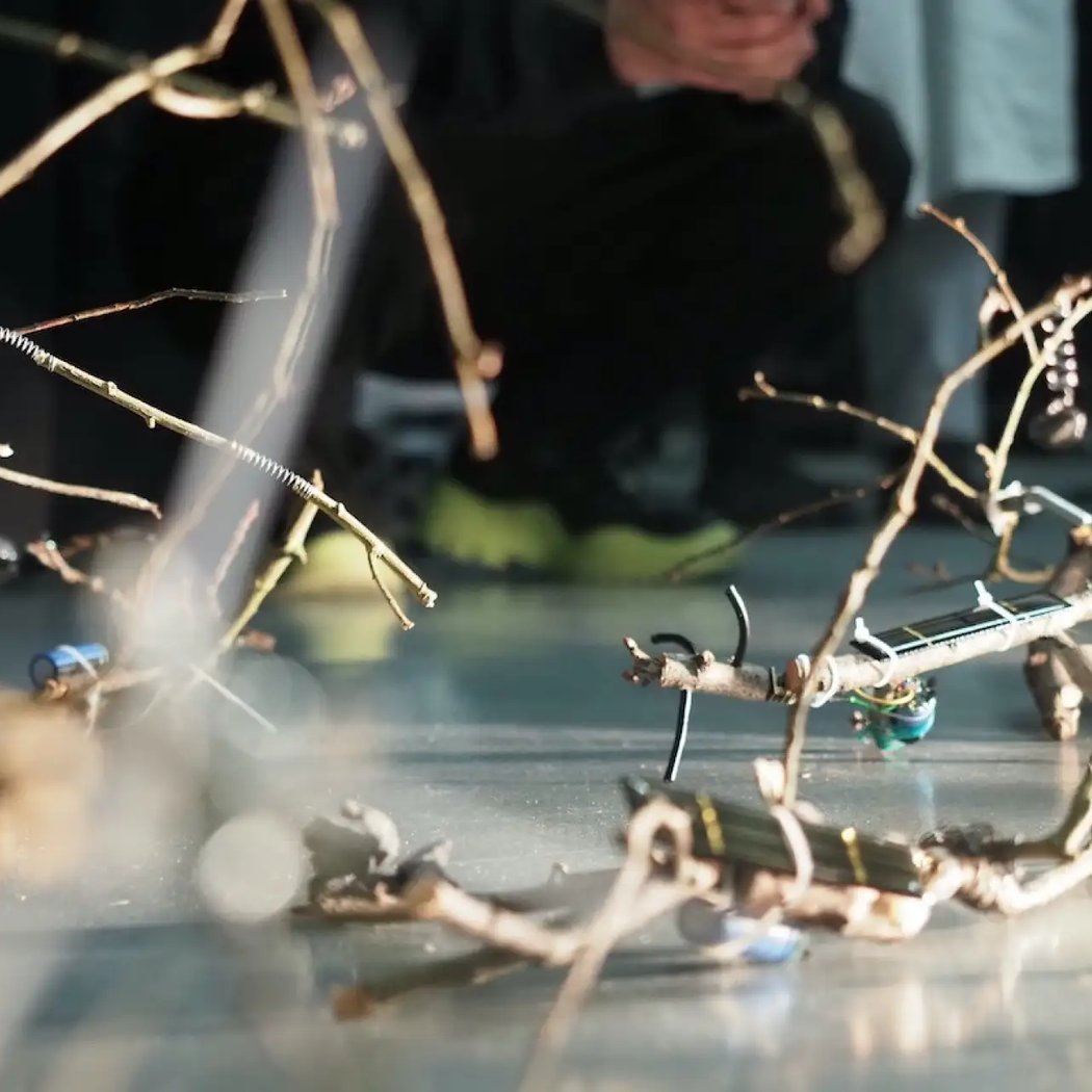 Workshop Phasmids — Fabriquer un robot solaire DIY 1