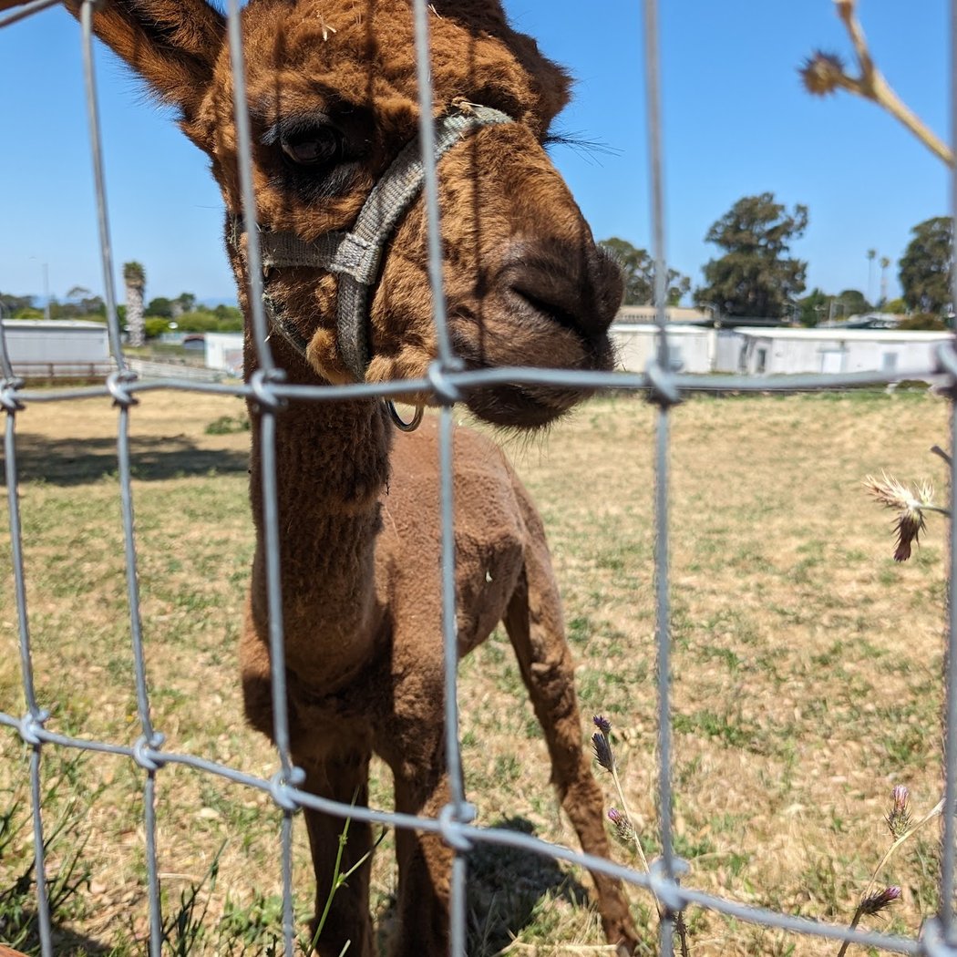 Loma Vista Farm 1