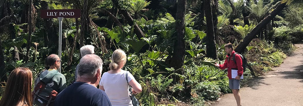 Golden Gate Park: East End, Creating San Francisco’s Great Urban Park 2