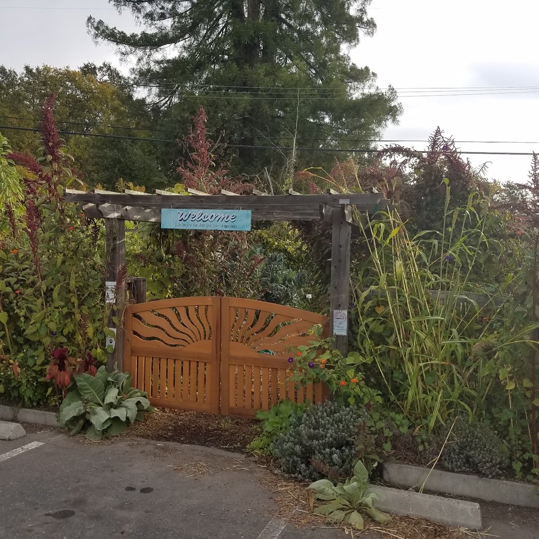 Food For Thought’s Plant Sale & Garden Tour 3