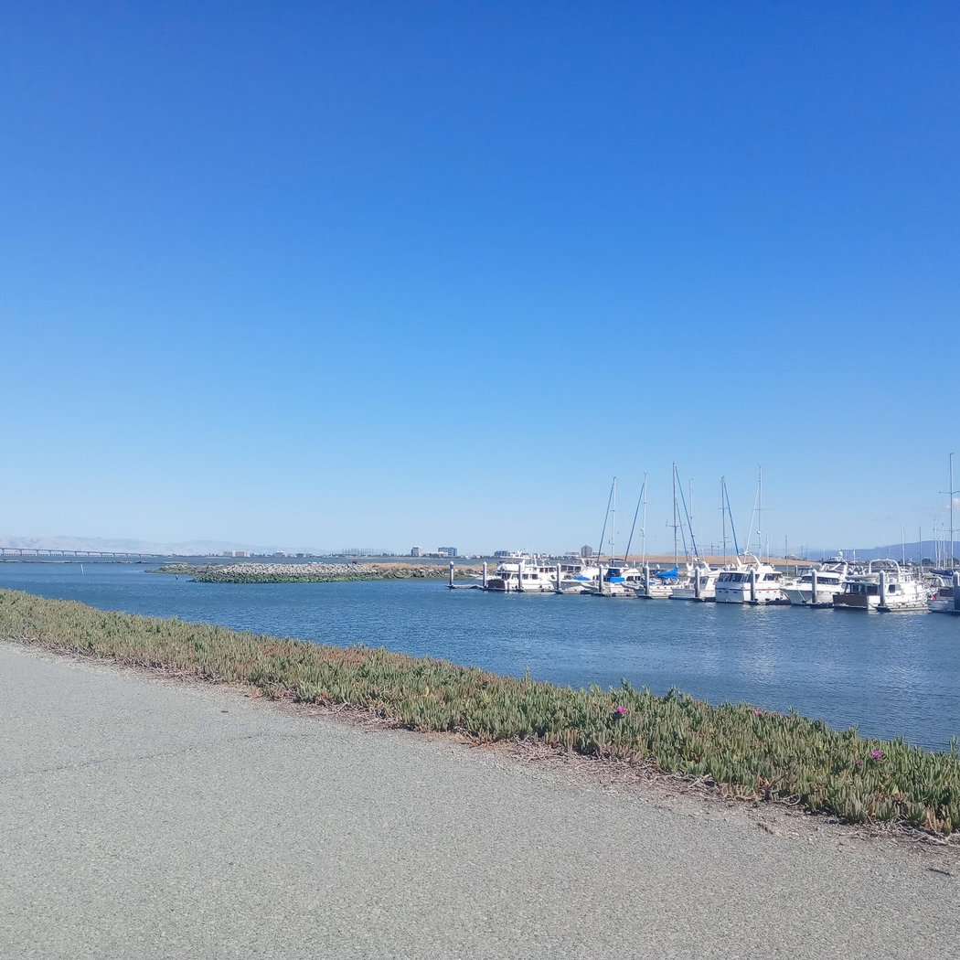 Coyote Point Marina 3