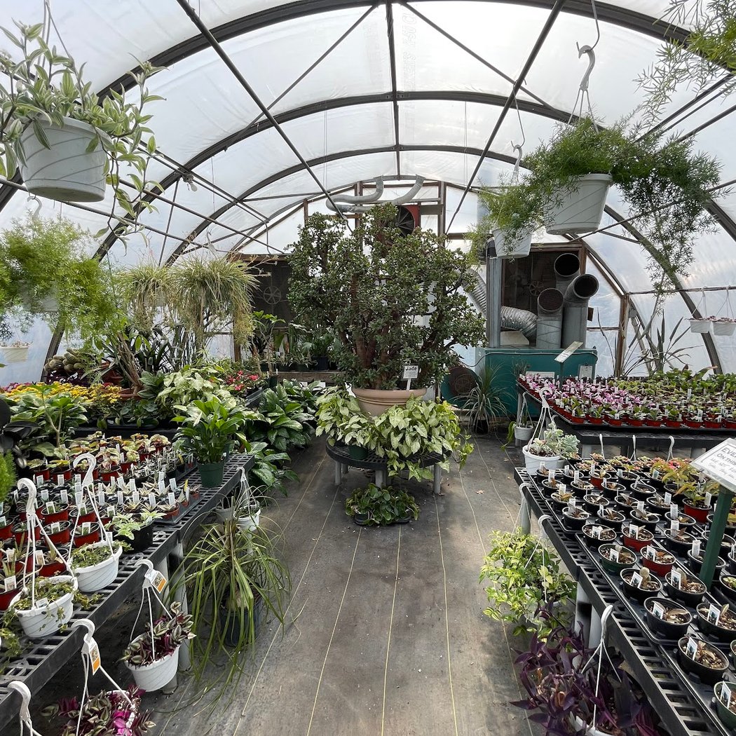 Sabellico Greenhouses & Florist 3