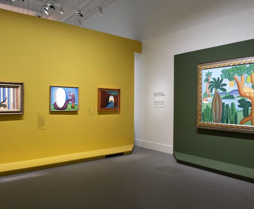 Tarsila do Amaral, Peindre le Brésil moderne 2