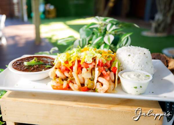 Ladies Night + Bottomless Tacos Thursdays