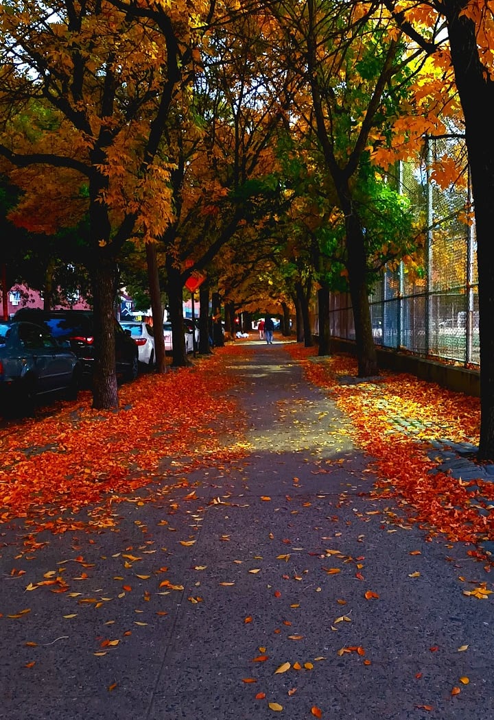 Leavitts Park 3