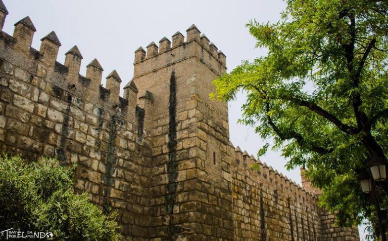 Macarena Walls 3