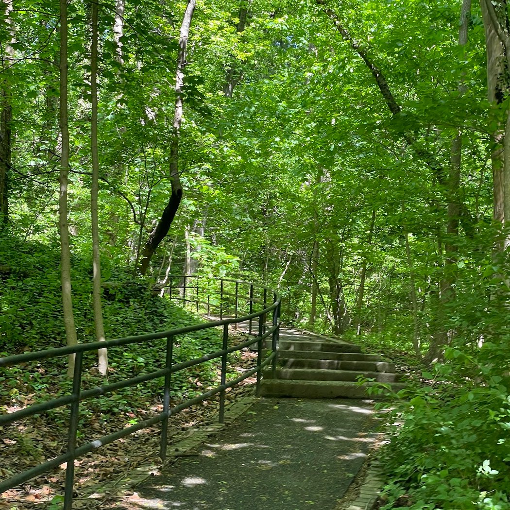 It's My Park at Brust Park 2
