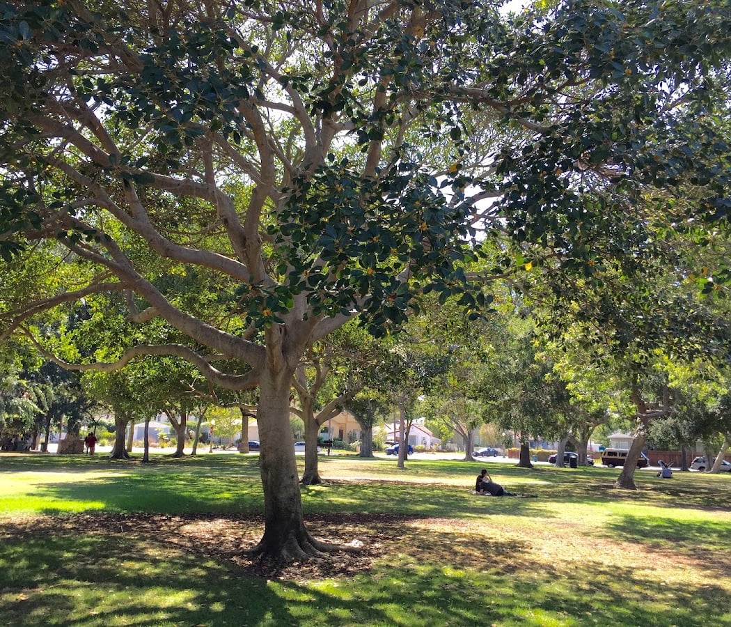 Black Coffee 1