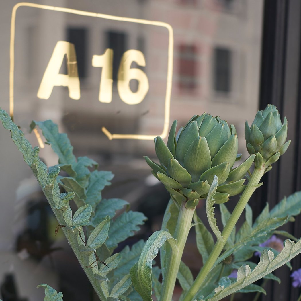 A16 2